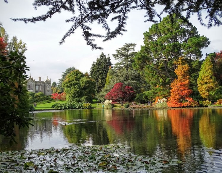 Sheffield Park Displaying Autumn Colours